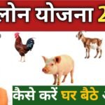 Pasu loan yojana